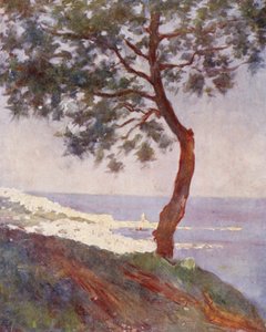 Vue d