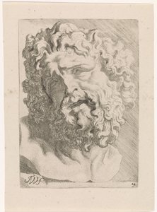 Tête de Laocoon - Augustinus Terwesten (I)