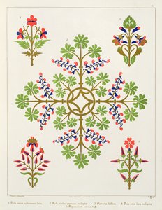 Motif de rose, design de papier peint, imprimé par M. et N. Hanhart - Augustus Welby Northmore Pugin