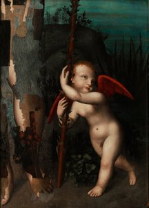 Cupidon avec un myrte, avant 1593
