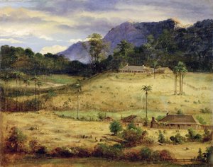 Fermes, c.1850 - Australasian School