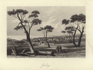 Geelong - Australian School