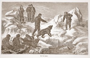 Chasse avec des chiens, 1876 - Austrian School