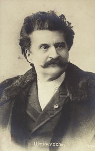 Portrait de Johann Strauss II - Austrian School