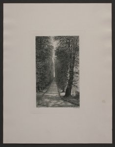 Danois : Sukkenes allé