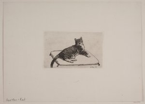 Danois : Chat couché - Axel Hou
