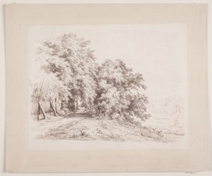La route bordée de haies passant par des arbres et des prés