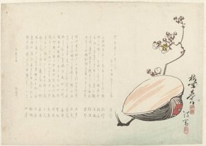 Coquillage - Ayaoka Yûshin