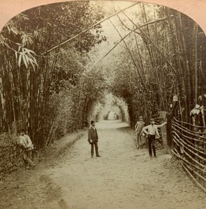 Le Mardyke, Cork, Irlande - B. W. Kilburn