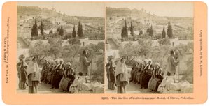 Le jardin de Gethsémani et le mont des Oliviers, Palestine, 1898 - B. W. Kilburn