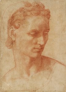 Tête de femme, début du XVIe siècle - Baccio Bandinelli
