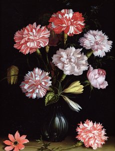 Étude florale : Œillets dans un vase - Balthasar van der Ast