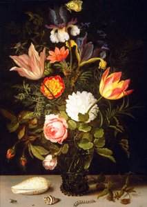 Nature morte de fleurs dans un Roemer avec deux coquillages