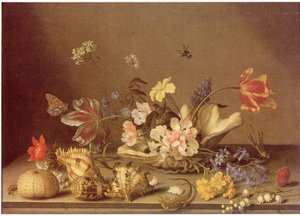 Nature morte de fleurs et de coquillages - Balthasar van der Ast