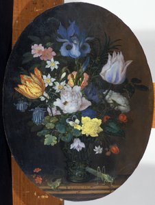 Nature morte avec fleurs - Balthasar van der Ast