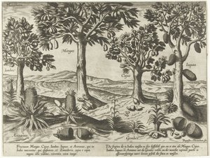 Arbres fruitiers et arbustes des Indes orientales