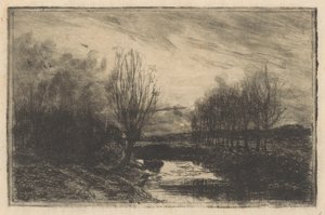 Fossé avec des saules têtards - Barbara Elisabeth van Houten