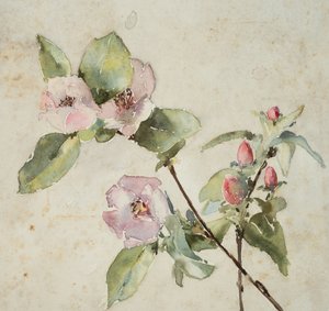Branches de fleurs roses - Barbara Leigh Smith Bodichon