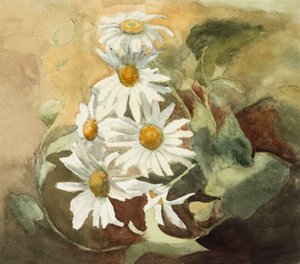 Marguerites
