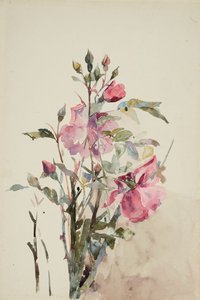 Tiges de fleurs roses - Barbara Leigh Smith Bodichon