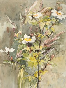 Fleurs sauvages - Barbara Leigh Smith Bodichon
