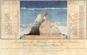 Géographie des plantes dans les pays tropicaux, une étude des Andes, dessinée par Schoenberger et Turpin, imprimée par Langlois, Paris