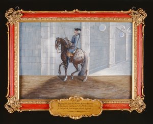 No. 20 Un cheval gris pommelé de l
