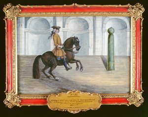 No. 33 Un cheval espagnol de la Haute École Espagnole exécutant un mouvement de dressage