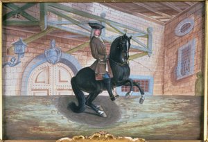 No. 36 Un cheval bai brun de la Haute École Espagnole exécutant une pirouette près du sol