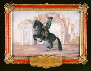 No. 42 Agrable, un cheval fauve foncé de l