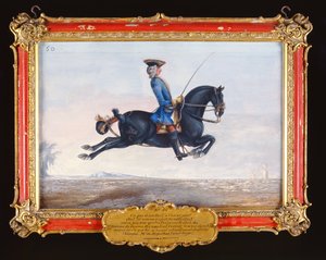 Un cheval noir nommé Curioso exécutant un mouvement de dressage appelé Capriole