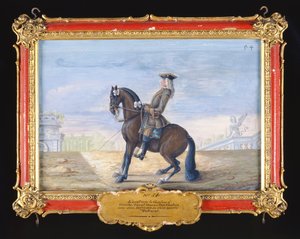 Un cheval bai danois de l