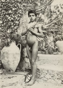 [Garçon dans le jardin]