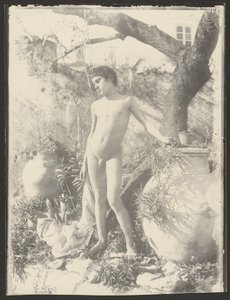 [Jeune fille nue dans un jardin] - Baron Wilhelm von Gloeden