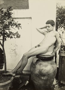[Jeune fille nue dans un jardin]