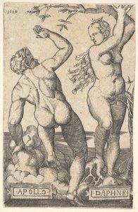 Apollon et Daphné, copie inversée - Barthel Beham