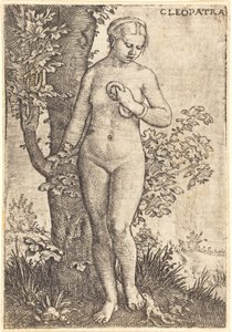 Cléopâtre - Barthel Beham
