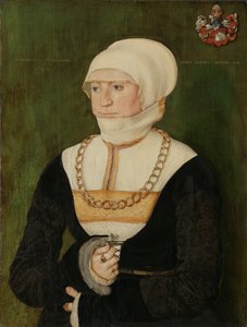 Portrait de Magdalena Pittrichin, 1528