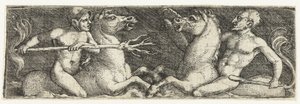 Deux tritons combattants