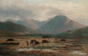 Tourbière, Letterfrack, Connemara - Bartholomew Colles Watkins