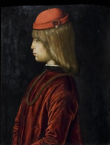 Portrait de Guidubaldo da Montefeltro, c.1480-81 - Bartolomeo (attr. to) Della Gatta