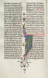Missale : Fol. 22v : Feuillage avec poisson, 1469 - Bartolomeo Caporali