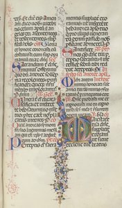 Missale : Fol. 260 : Feuillage avec fruits, 1469 - Bartolomeo Caporali