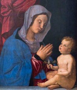 Madone et enfant, c.1503 - Bartolomeo Montagna