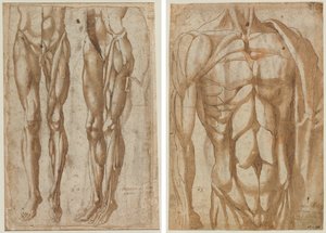 Deux études d