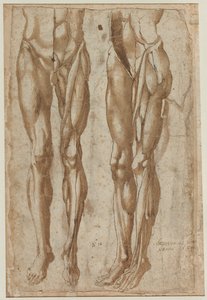 Deux études d
