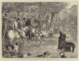 Chasse au cerf dans le Surrey, capture du cerf, étang de Shackleford