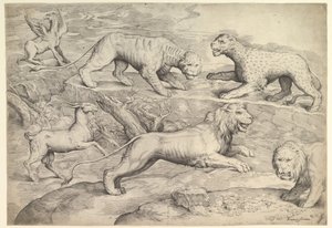 Six animaux, y compris des lions, un tigre, un léopard, un griffon et une chèvre - Battista Franco Veneziano