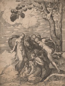 La découverte de Moïse, 1540s - Battista del Moro