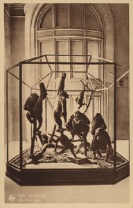 Salle des Gorilles - Belgian Photographer